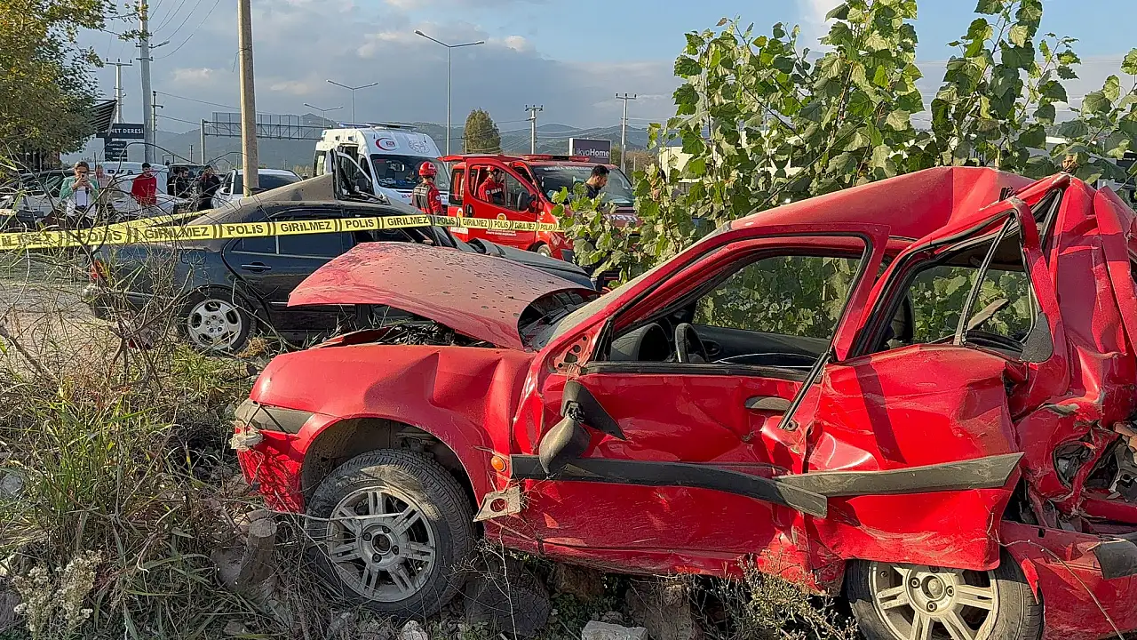 Park halindeki araça çarptı 1 ölü
