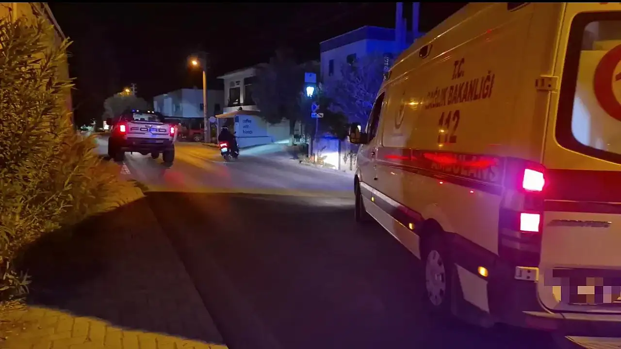 Domuz sürüsü kazaya neden oldu