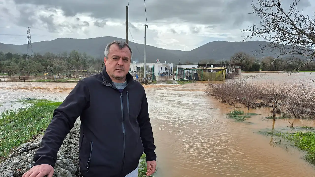 Bodrum'da 60 tavuk sele kapıldı