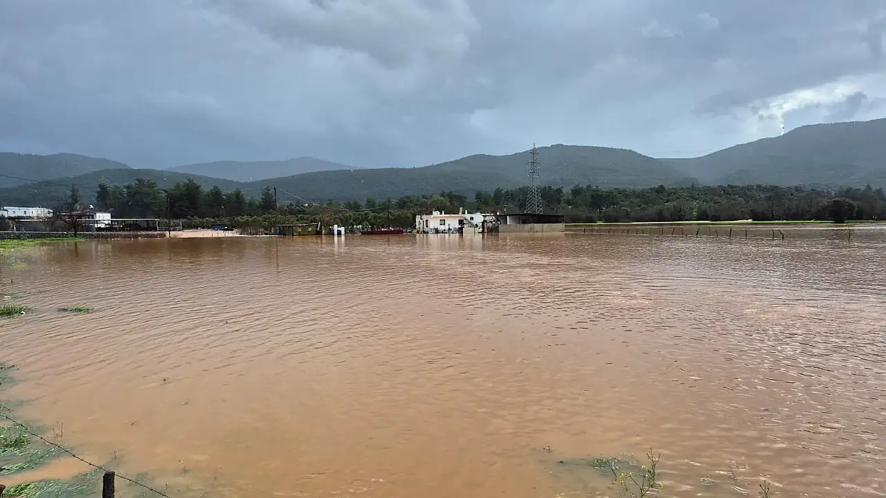 Bodrum'da 60 tavuk sele kapıldı