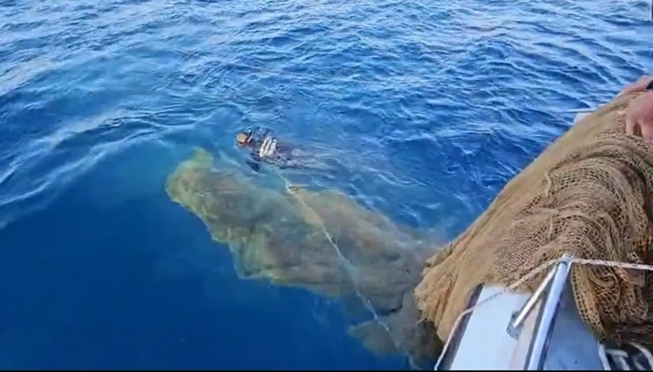 Denizlerdeki hayalet ağlar temizleniyor