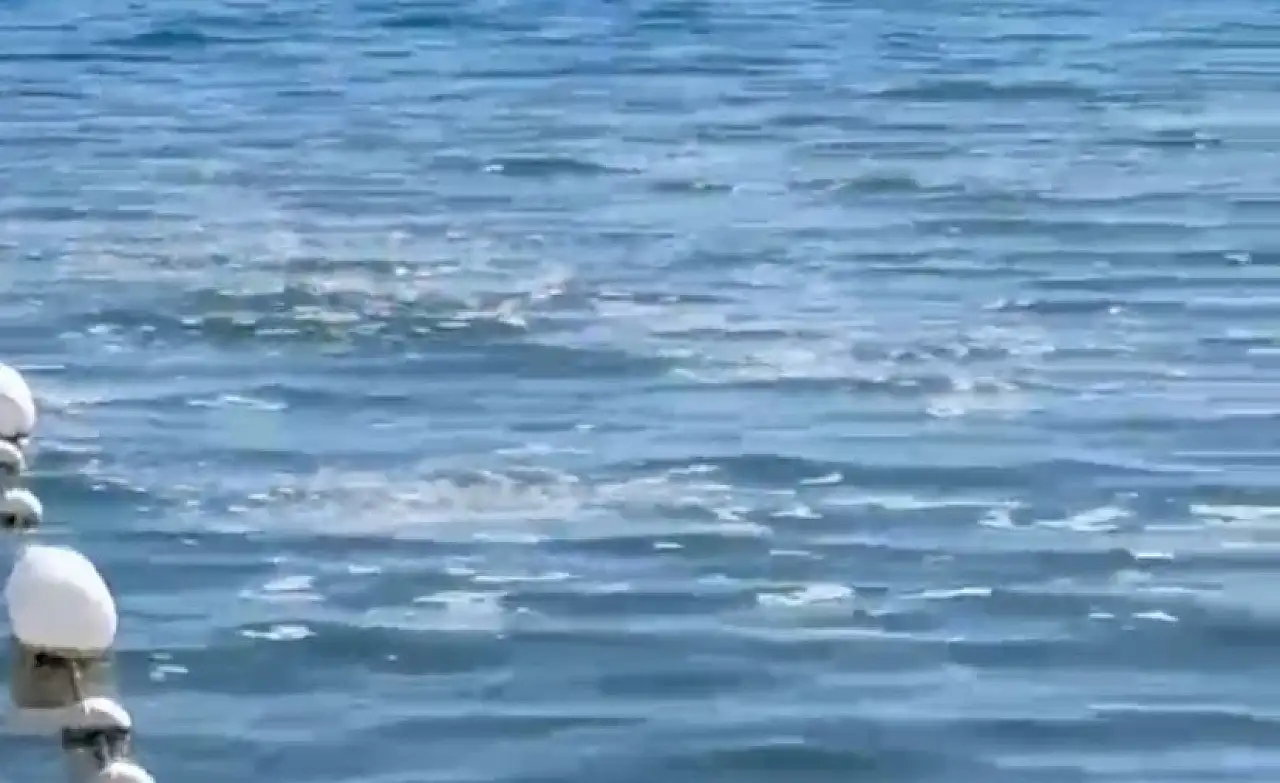 Sahilde sintine skandalı ! Bodrum'un denizi yine kirletildi !