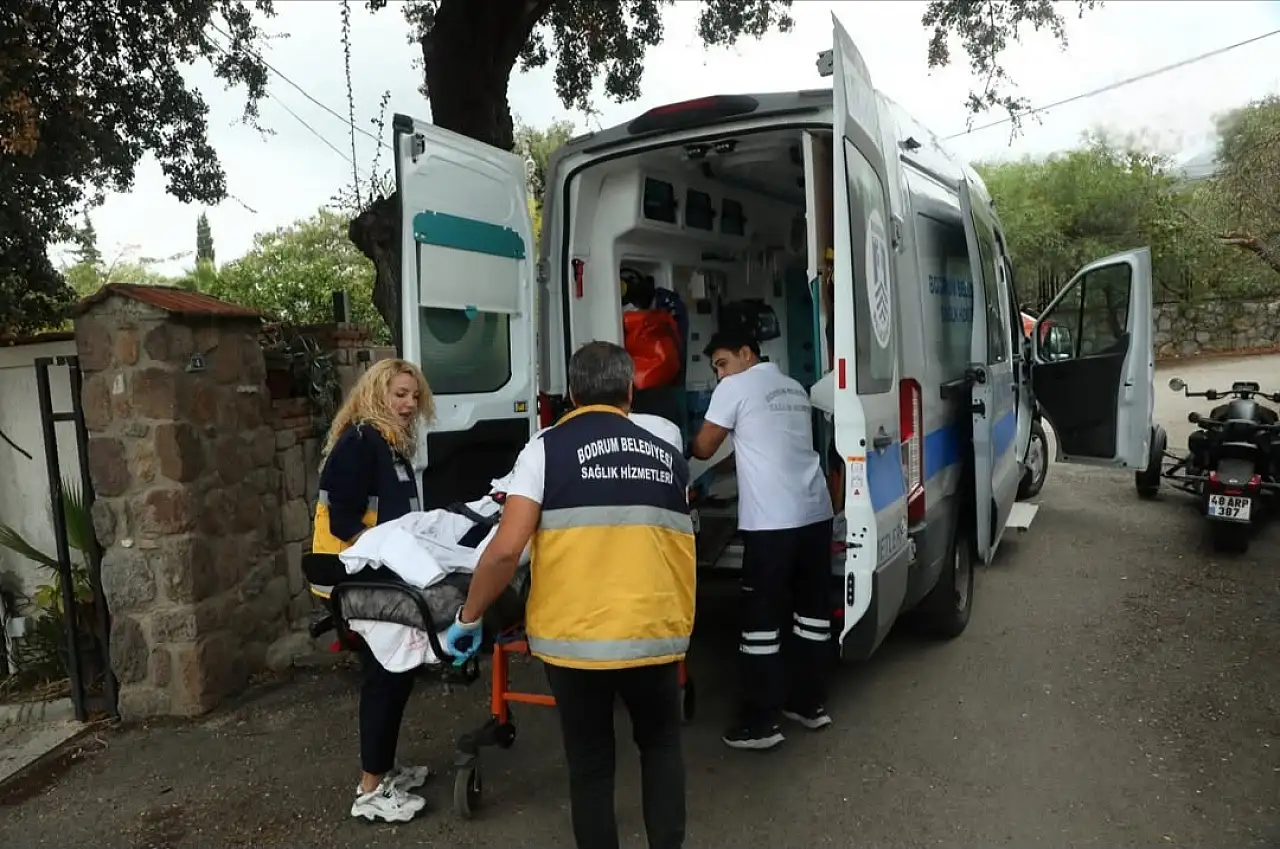 Sağlık Hizmetleri Bürosu'ndan yarımada genelinde sağlık desteği