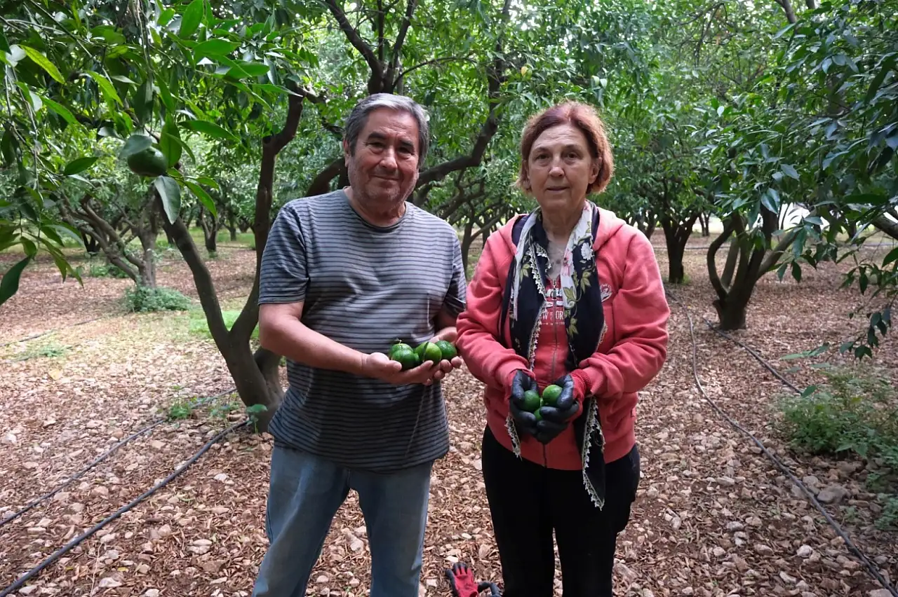 Yeşil Bodrum Mandalini'ne tek seferde 55 tonluk sipariş