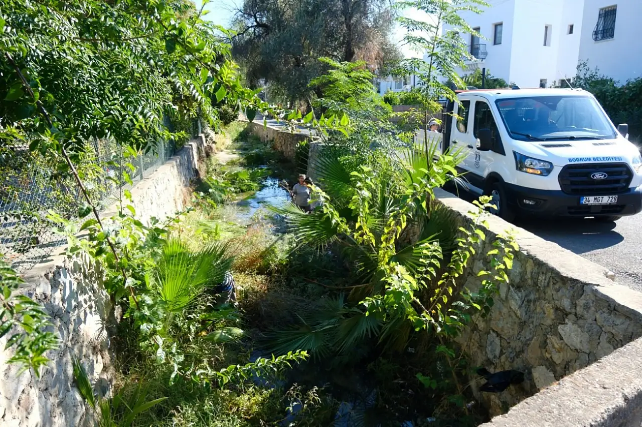 Belediye ekiplerinden derelerde temizlik çalışmaları !