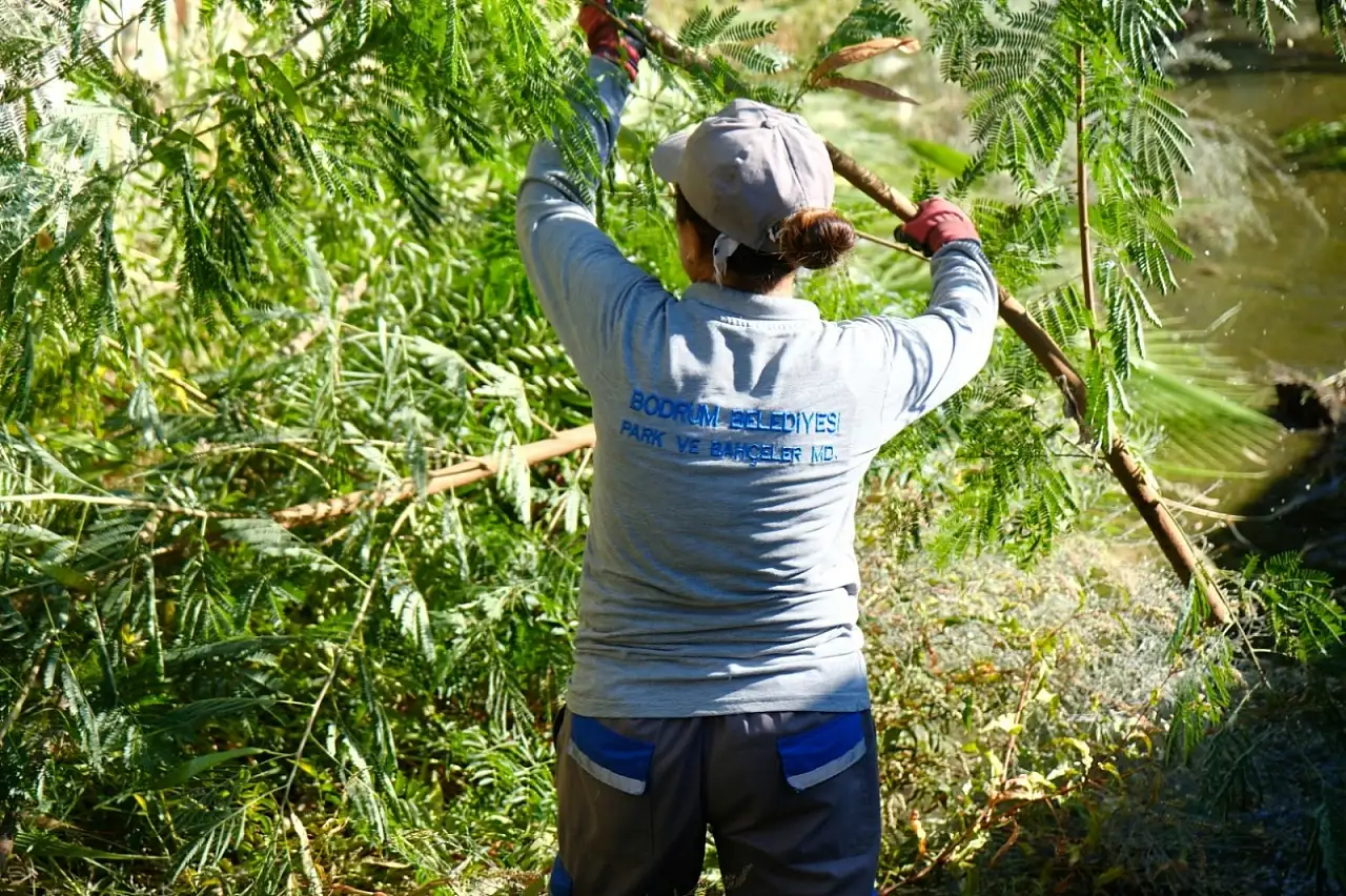 Belediye ekiplerinden derelerde temizlik çalışmaları !