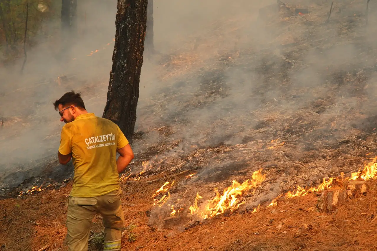 Yüzlerce yangın binlerce hektar kayıp