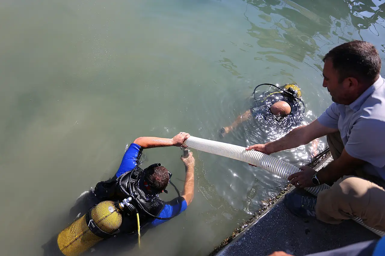 Boğaziçi'ne 150 bin çipura ve 10 bin levrek yavrusu bırakıldı