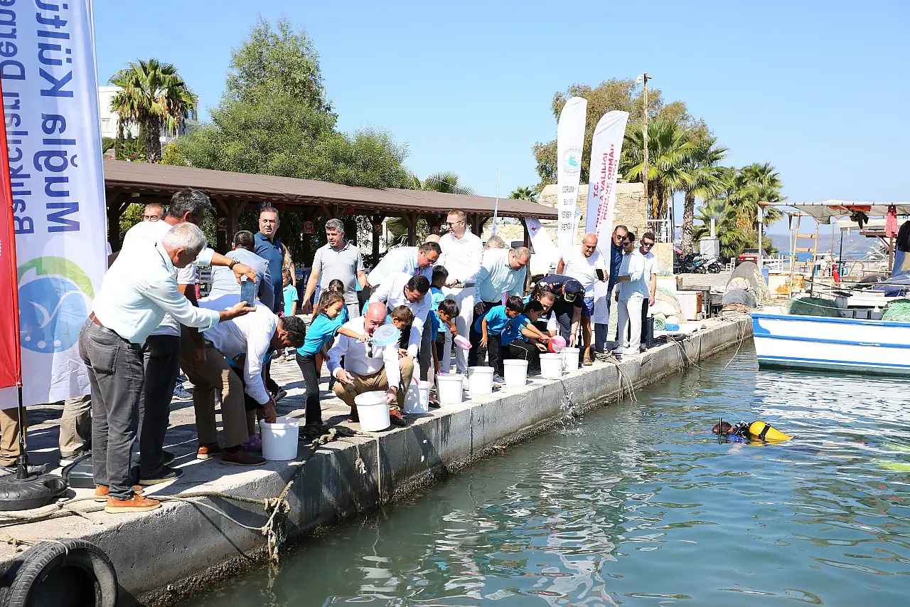 Boğaziçi'ne 150 bin çipura ve 10 bin levrek yavrusu bırakıldı
