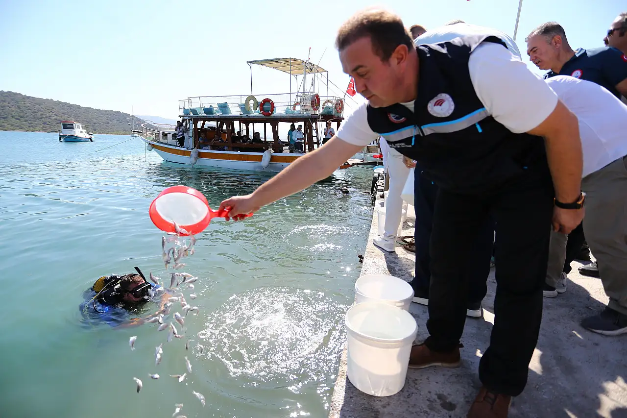 Boğaziçi'ne 150 bin çipura ve 10 bin levrek yavrusu bırakıldı