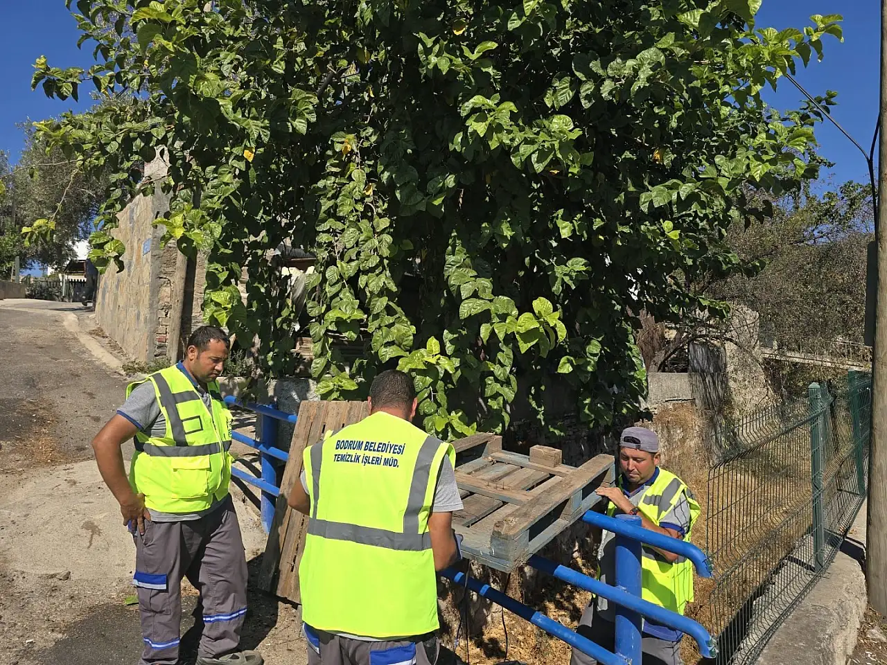 Belediye ekiplerinden derelerde temizlik çalışmaları !