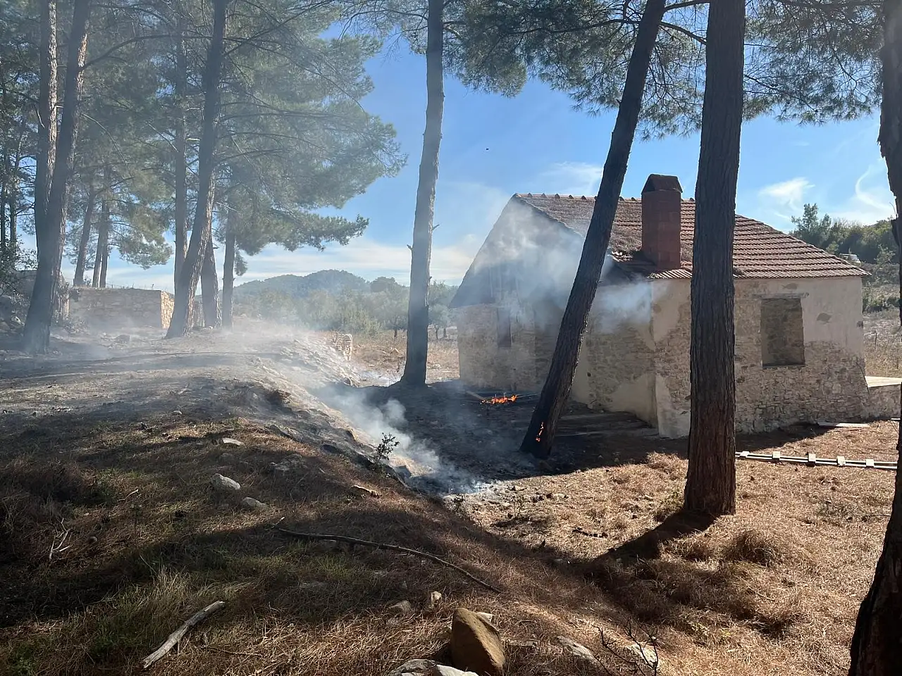 Milas'taki orman yangınları büyümeden söndürüldü