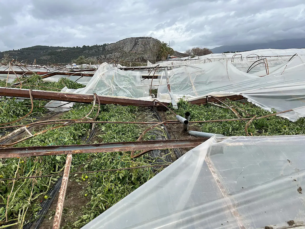 Dolu ve hortum sonrası oda başkanlarından çağrı