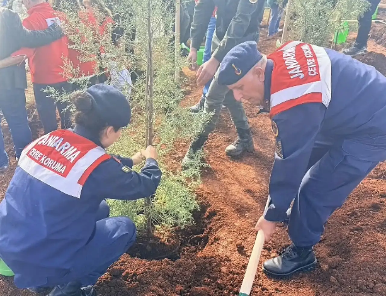 Muğla Jandarması operasyonlarda 59 şüpheliyi yakaladı, 17'si tutuklandı