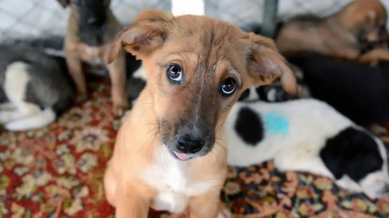 80 milyon TL'lik destek onaylandı