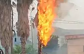 Ağaç alev aldı, yangın büyüdü