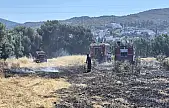 Develer için ot yetiştirilen arazi yandı