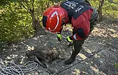Sulama Kanalına Düşen Köpek Kurtarıldı