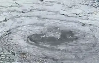 19 Ocak'ta Uyardık rezerv denize akıyor