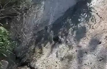 25 arama sonuçsuz: patlak akıyor, MUSKİ bakıyor