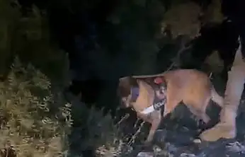 4 Milyon TL'lik uyuşturucu operasyonu