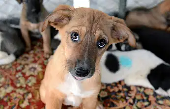 80 milyon TL'lik destek onaylandı