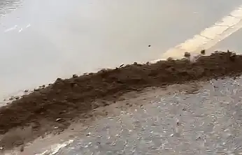 Aynı noktada yine su patlağı