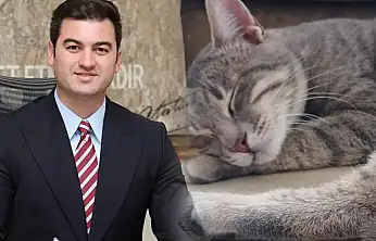 Başkan Mandalinci'den vahşete sert tepki