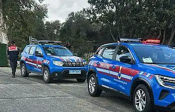 Bodrum'da 2 köpeğin öldürülmesi olayında savcılık itirazı sonrası tutuklama talebi