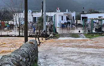 Bodrum'da 60 tavuk sele kapıldı