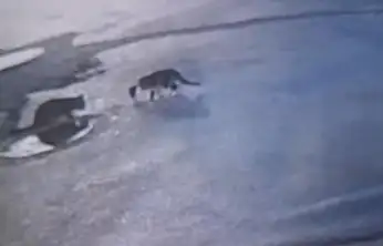 Sokak lambaları yanmadı dikkatsizlik bir can aldı