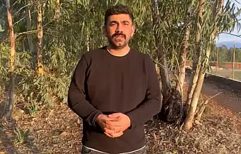 Bodrum'da viral olan kedi videosu üzerine Kaya'dan duyarlılık çağrısı