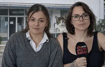 Bodrum'daki bir hayvan hastanesine yönelik iddialar gündeme oturdu