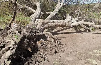 Bodrum'u kuvvetli fırtına vurdu