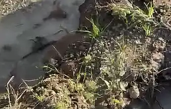 Bodrum'un çocuğu Bodrum'u unuttu