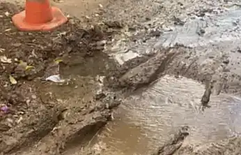 Bu ne perhiz bu ne lahana turşusu