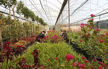 Büyükşehir'den yerel kalkınmaya güçlü katkı