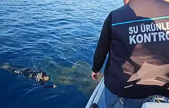 Denizlerdeki hayalet ağlar temizleniyor