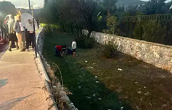 Dereye uçarak yaralandı