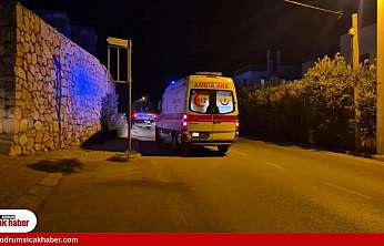 Domuz sürüsü kazaya neden oldu