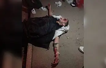 Domuza çarpmamak için kaza yaptı