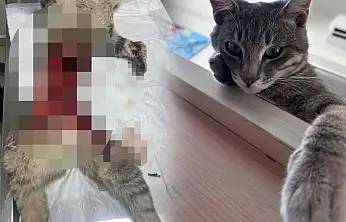 Duman'ın ölümü şok etti kesici aletle vahşet