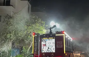 Dumanlar evi kapladı kadın ve iki köpek kurtarıldı