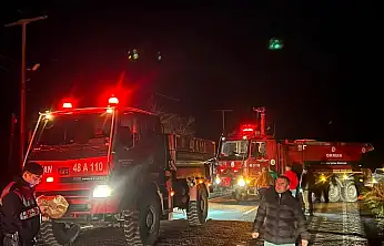 Elektrik hatları yangına neden oldu