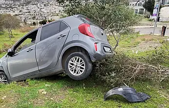 Eskiçeşme'de korkutan kaza: Otomobil ağacı devirerek durdu
