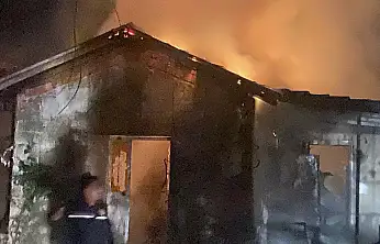 Ev alevlere teslim oldu