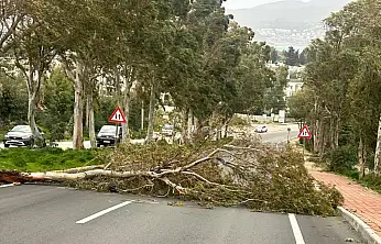 Fırtınalı hava yolda tehlike yarattı