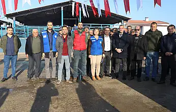 Hayvan üreticilerine mineral blok taşı desteği