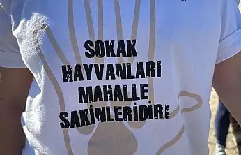 Hayvanseverlerden 'can dostları sahiplendirmek için' seferberlik