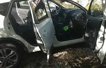 Hayvanseverlere ruh hastası dedi